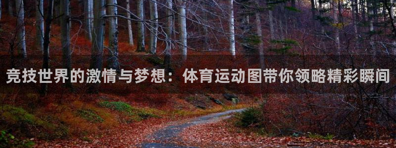 米兰体育官方正版app娱乐首页网站大全：竞技世界的激情与梦想