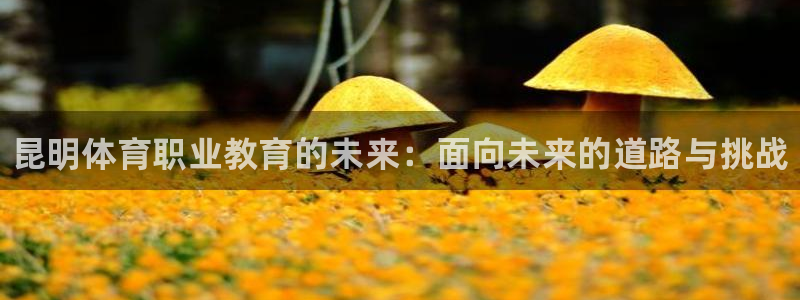 米兰体育官方正版app官方：昆明体育职业教育的未来：