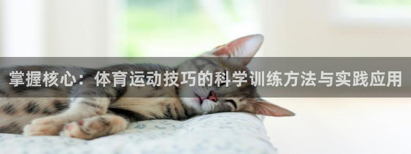 米兰体育官网下载软件：掌握核心：体育运动技巧的科学训练方法与