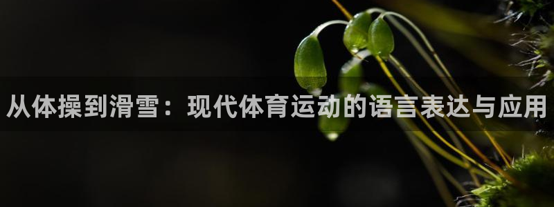 米兰体育官网下载招商电话号码查询是多少：从体操到滑雪