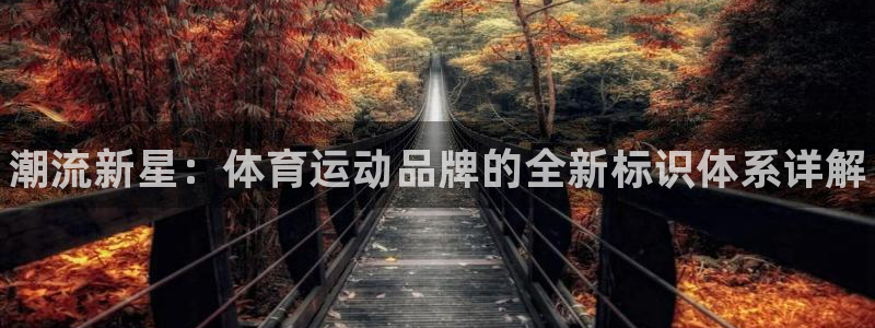 米兰体育官网下载是干嘛的公司：潮流新星：体育运动品牌的全新标