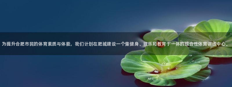 米兰体育官网下载是干嘛的公司：为提升合肥市民的体育素质与体能