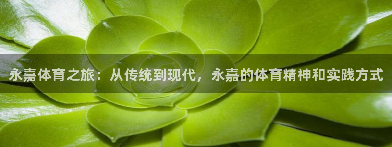 海南米兰体育官网下载发展怎么样：永嘉体育之旅：从传统