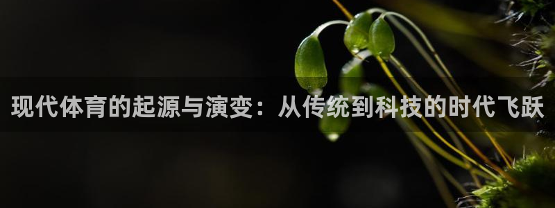 米兰体育官网下载平台APP：现代体育的起源与演变：从传统到科