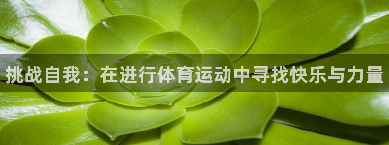 米兰体育官网下载平台注册流程图：挑战自我：在进行体育运动中寻