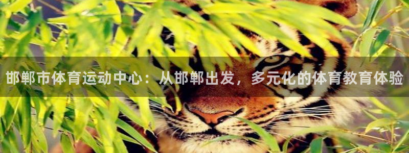 米兰体育官网下载平台APP：邯郸市体育运动中心：从邯