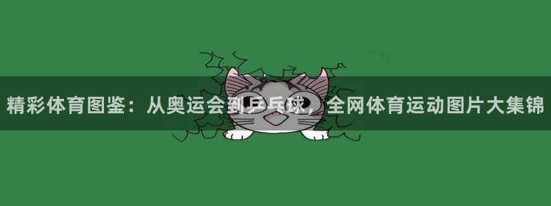 米兰体育官网下载平台注册要钱吗安全吗：精彩体育图鉴：