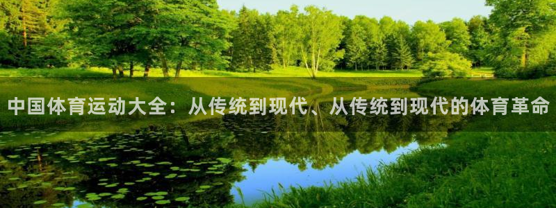 米兰体育官方正版app集团官网网址：中国体育运动大全：从传统