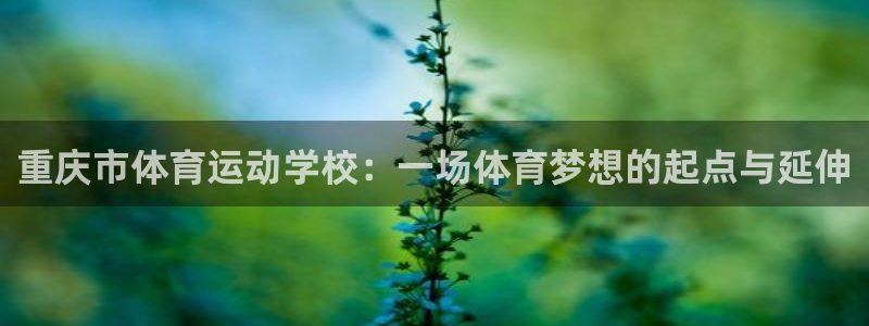 米兰体育官方正版app代理：重庆市体育运动学校：一场体育梦想