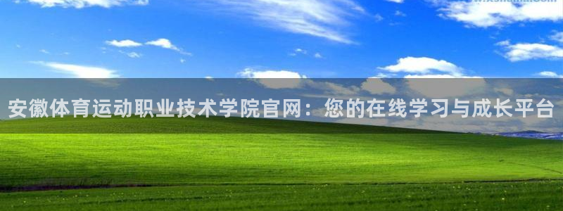 米兰体育官方正版app娱乐是那个系列的台子：安徽体育运动职业