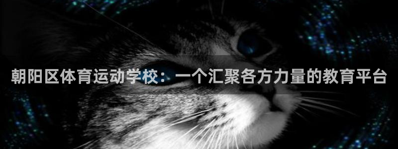 米兰体育官网下载娱乐：朝阳区体育运动学校：一个汇聚各