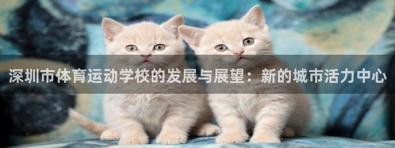 米兰体育官方正版app官方：深圳市体育运动学校的发展与展望：
