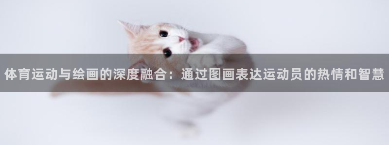 米兰体育官方正版app集团官网首页