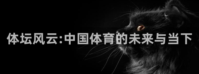 米兰体育官方正版app娱乐平台：体坛风云:中国体育的未来与当
