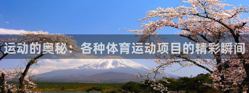 米兰体育官网下载招商