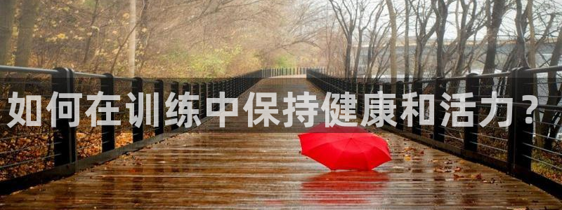米兰体育官网下载平台：如何在训练中保持健康和活力？
