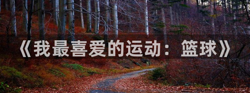 注册米兰体育官方正版app：《我最喜爱的运动：篮球》